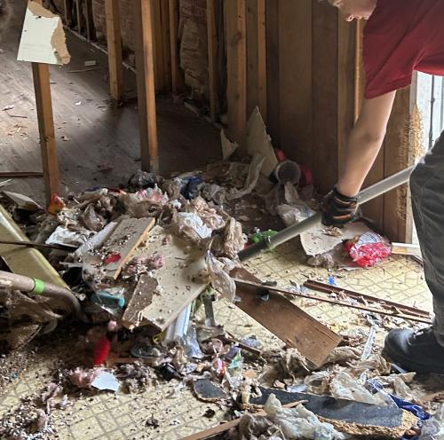 Junk Removal